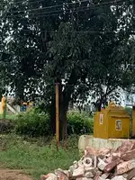 Besides the bussappa temple,along the main road.