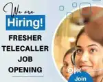 Only Female Staff Required your roll customer support executive