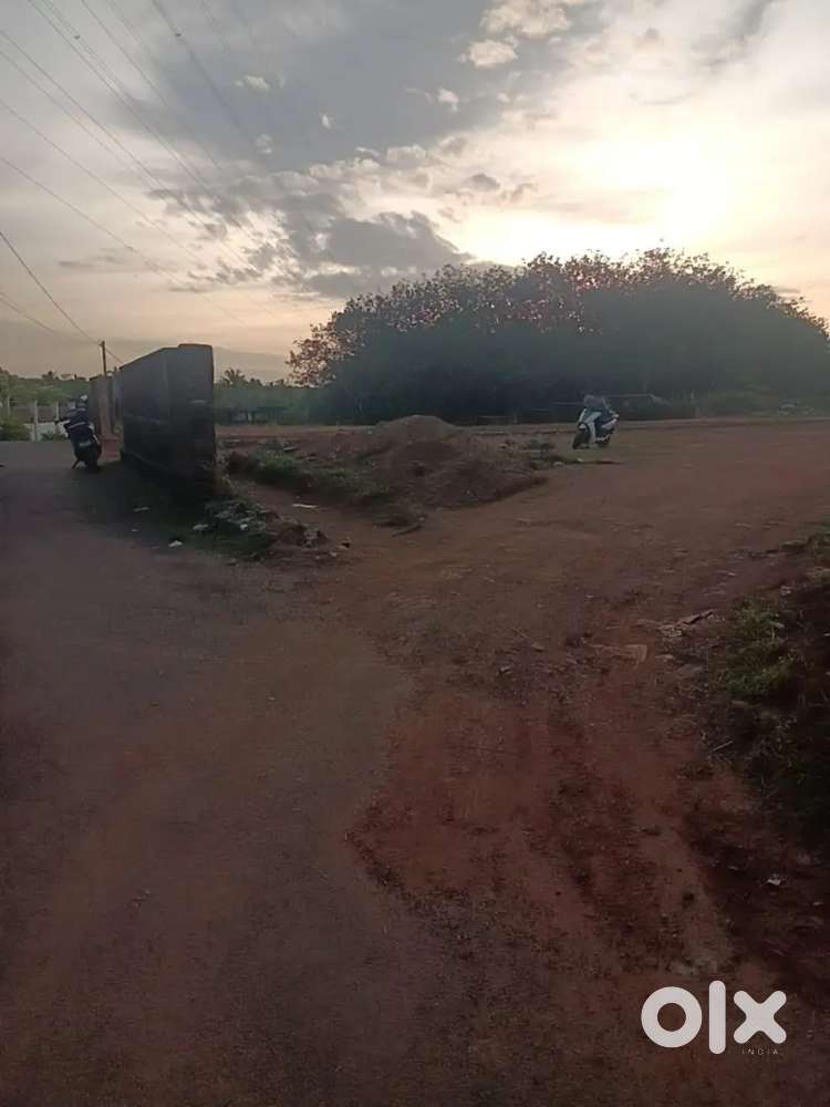 5 Cent Residential Land for Sale at Chembarakky – ₹3.5 Lakh/Cent
