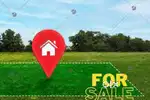Only genuine buyer pls
