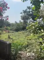 Land for Sale in Karaima Nagar next to Kundrathur& near Pammal