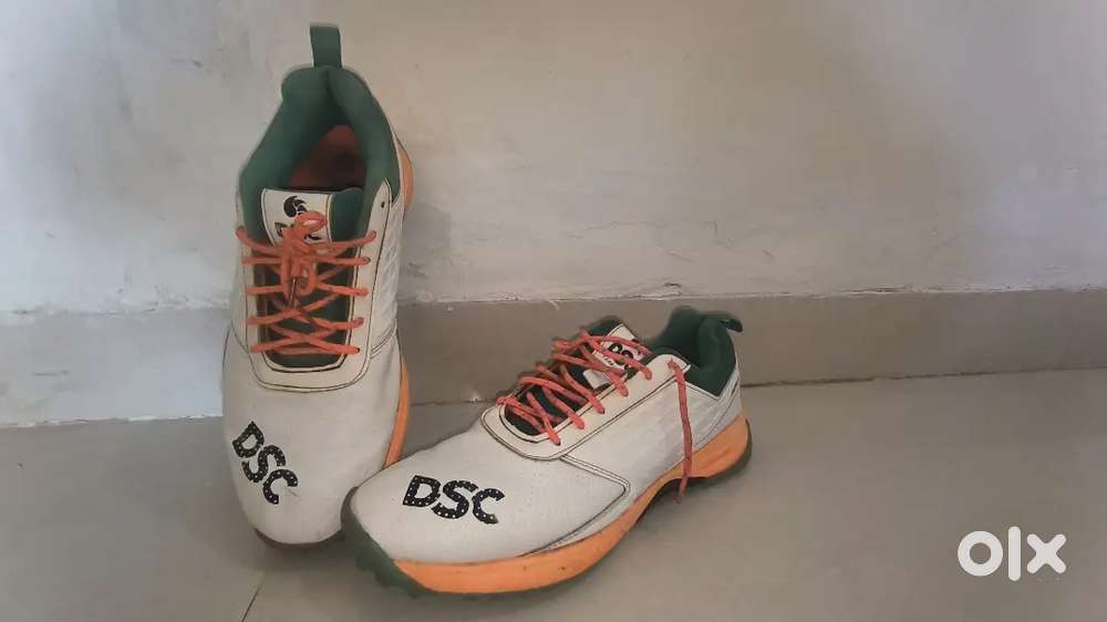 Dsc jafa 22 cricket shoes