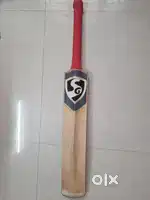 SG English Willow Cricket Bat