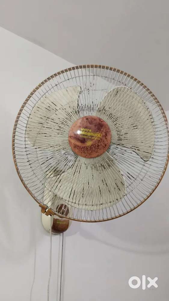 Wall mounted fan