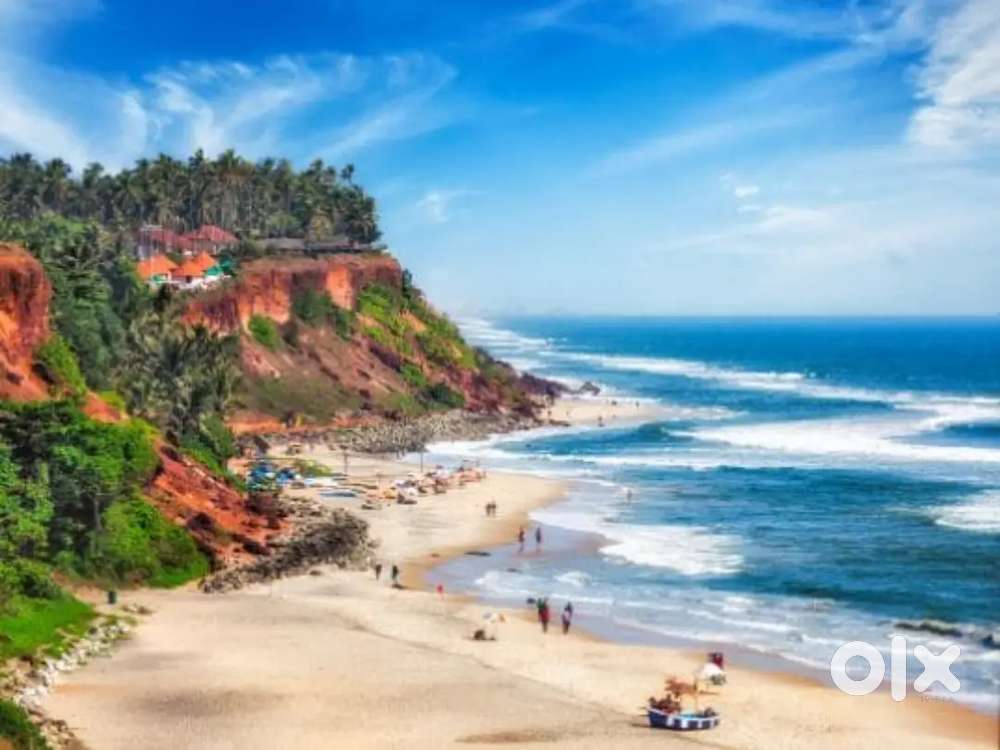 Travel assistant for foreigners in KERALA