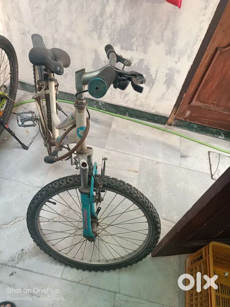 Ladies cycle kaun si company