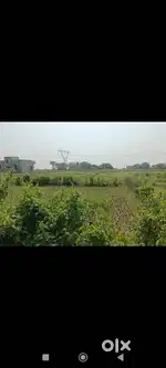 Land rent for commercial purpose