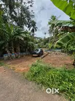 22 cents square plot 200 metre from Chenkottukonam