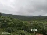 3 ACER LAND FOR SALE WITH BEAUTIFUL VIEW PERFECT FOR RESORT,HOMESTAY