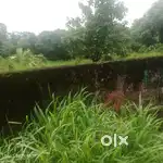 Plot for sale near kakkanad infopark