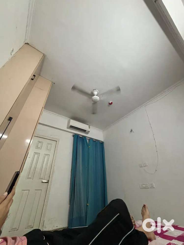 Need a flatmate