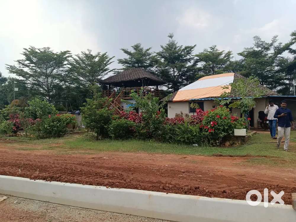 Mankadhan green city