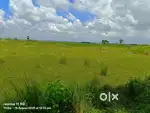 Bolpur santiniketan