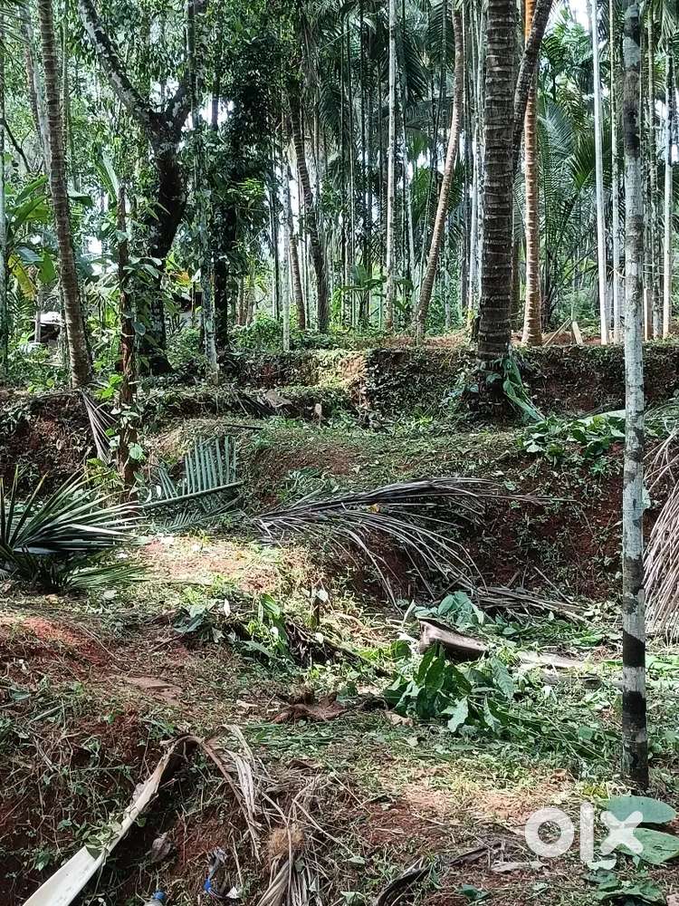 Near mmc hospital property