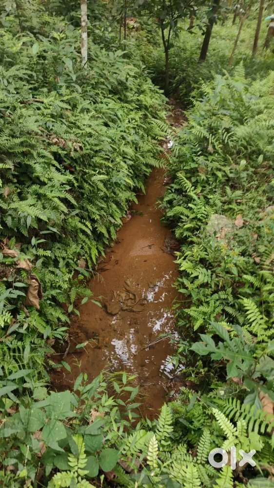 Kothamangalam onnukal puthankurish 3 acte for sale