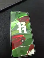 Google Pixel 9 - 11 months warranty- 12-256 Variant-Winter Green color