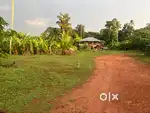 Plot for Sale near adichira kottayam 4Lakh per Cent
