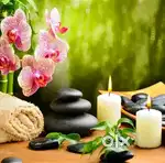 Need SPA manager
