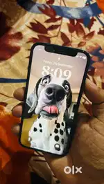 Iphone 12 Mini