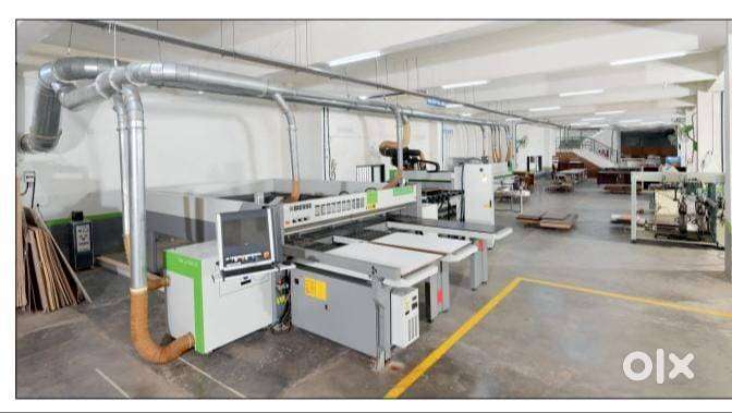 Tender Management Executive