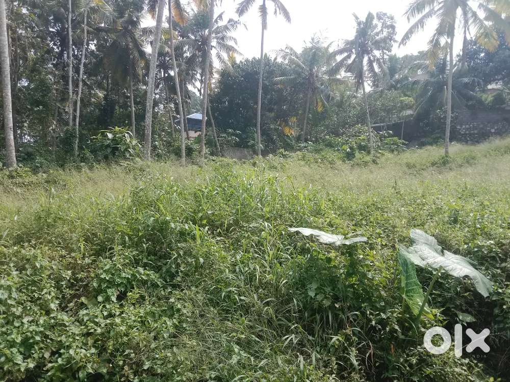 Karyavattom Greenfield stadium 4th to 200mtr 18cent plot