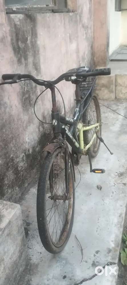 Avon cycle