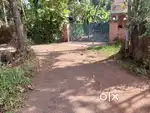 മനോഹരമായ വില്ല പ്ലോട്ടുകൾ വിൽപ്പനയ്ക്ക് ചേരാനല്ലൂർ മാട്ടുമ്മൽ