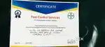 Rajesh professional pest control services