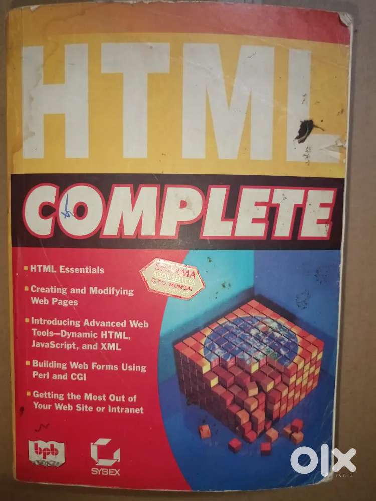 Web development book