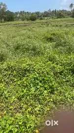 2 x 10 cents of housing plots in North Irumbanam