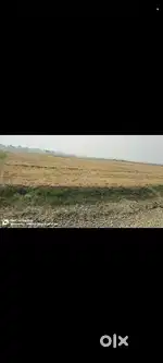 Sarmera to mokam highway 500mitter cat road