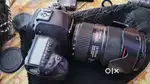 CANON 5D MARK 4