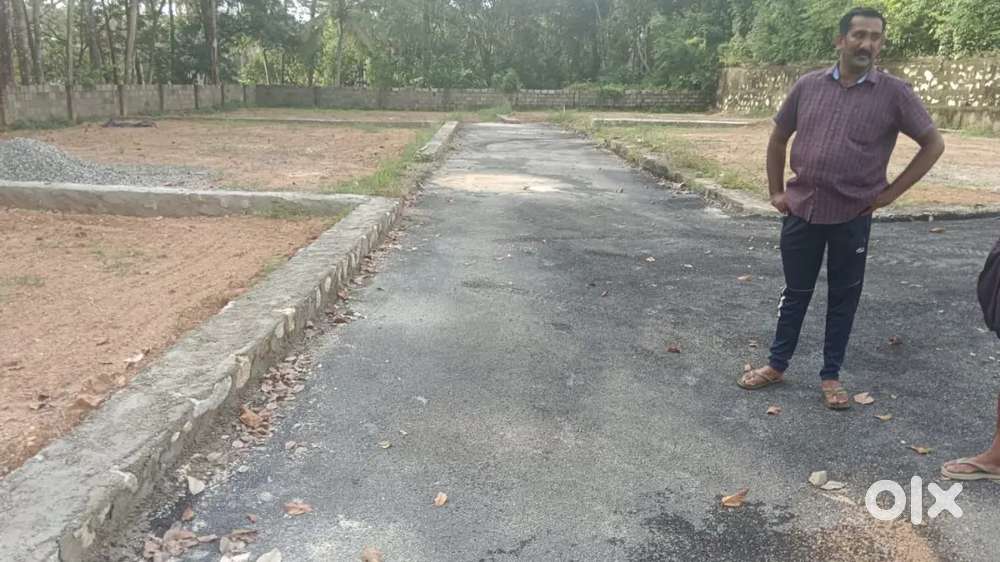 4,5,6 7 cent plot kaniyapuram pothencode road