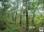 Rubber plot for sale in Ottapalam, Palakkad