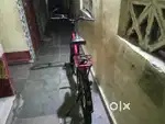 Cycle for sale...