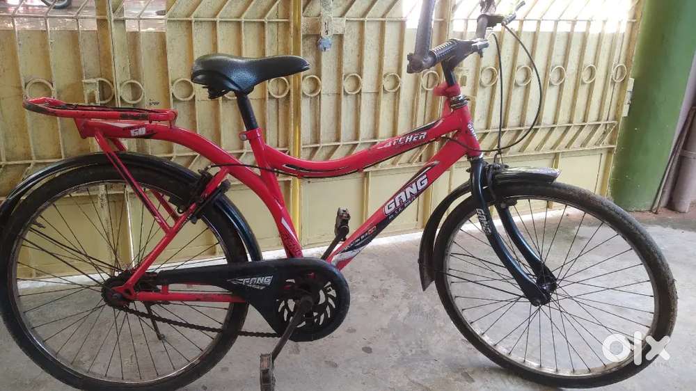 Gang catcher by S.K. bikes   mountain bike