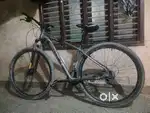Waltx summit 29er cycle