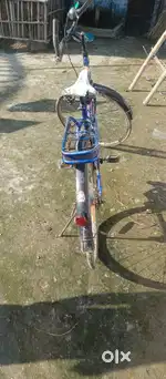 Brand name GANG..CYCLE