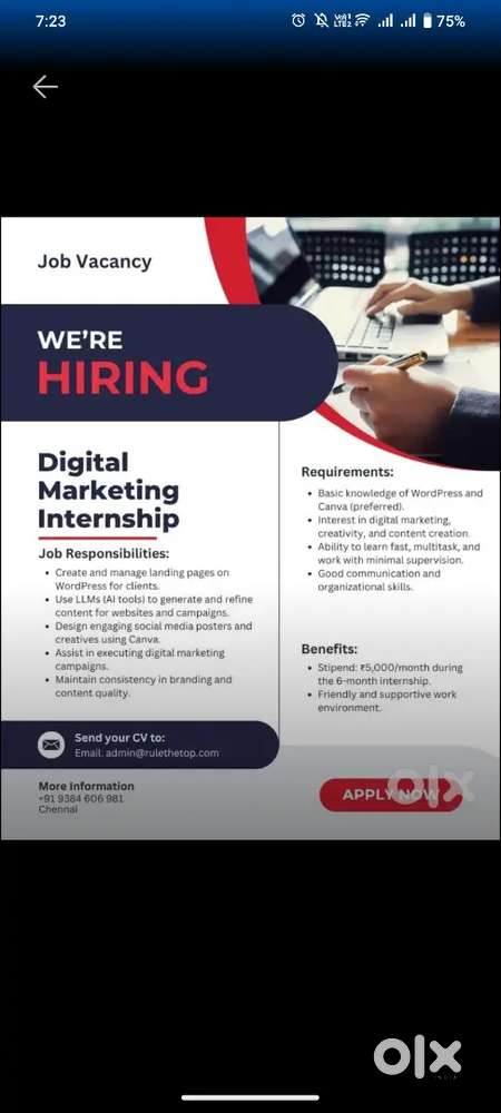 Digital Marketing Intern