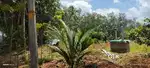 Dry land suitable for villas or for farming or for other projects