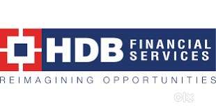 HDB FINANCIAL SERVICES LTD