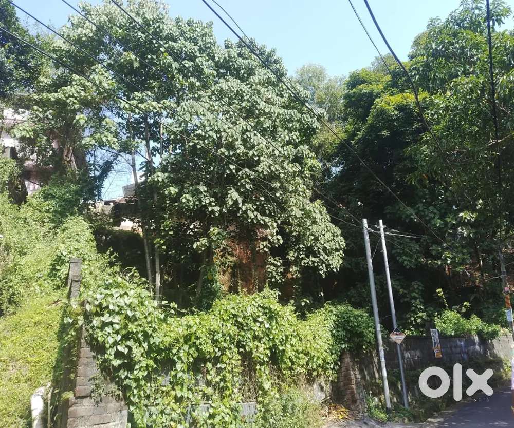 15 cents of land for sale at poojappura