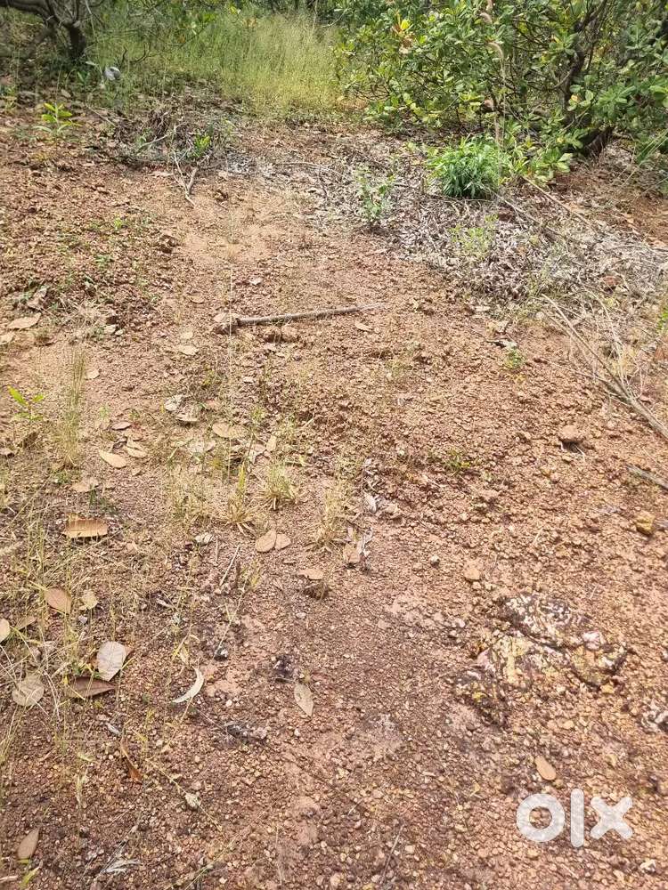 17 cnt Square land for sale