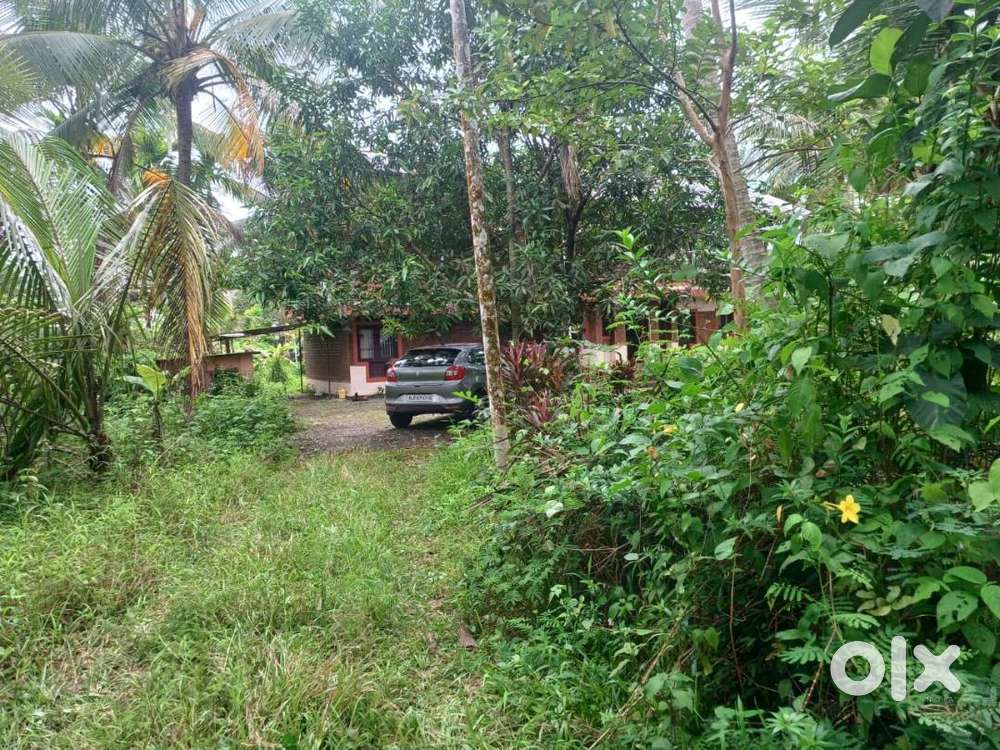 Plot for Sale  Paral, Vazhapally West