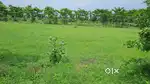 Land for sale 220 SQY