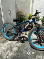 Fun Rider bicycle for sale
