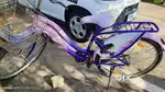 Lady bird cycle