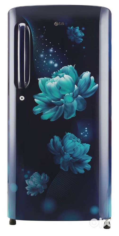 LG 190 L Direct Cool Single Door 5 Star Refrigerator