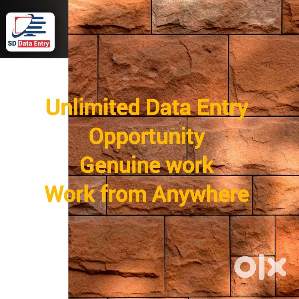 Unlimited Data Entry Opportunity