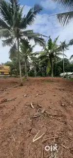 Residential land for sale@ korani - chirayinkeezhu road